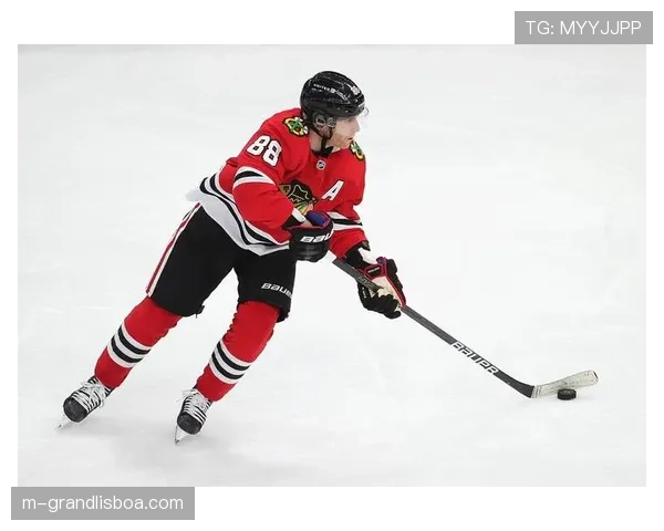 冬奥会临近 NHL球星国家队表现备受关注